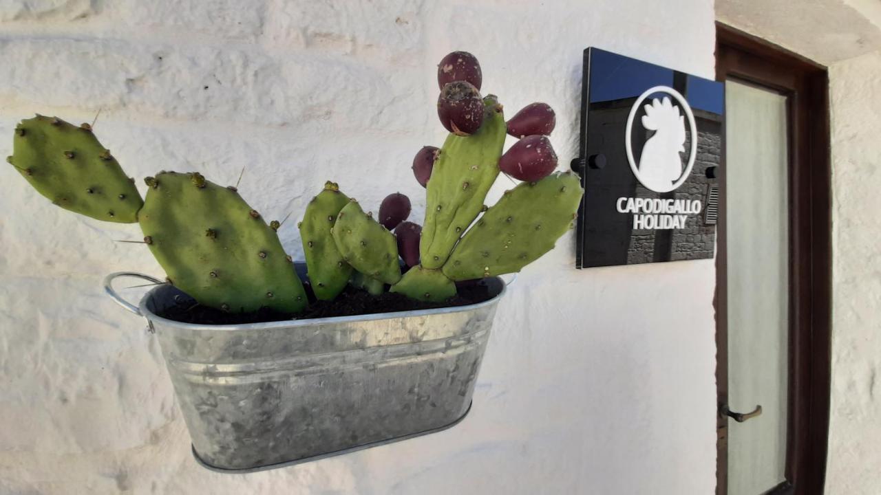 Capodigallo Holiday Trullo Monte Santo Alberobello Exterior photo
